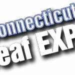 Logo: Connecticut Deaf Expo